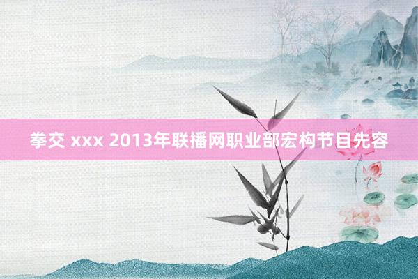 拳交 xxx 2013年联播网职业部宏构节目先容