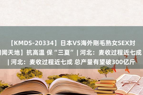 【KMDS-20334】日本VS海外剛毛熟女SEX対決！！40人8時間 【朝闻天地】抗高温 保“三夏” | 河北：麦收过程近七成 总产量有望破300亿斤