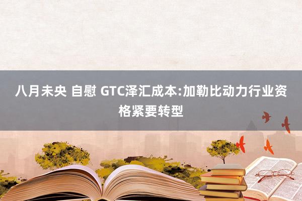 八月未央 自慰 GTC泽汇成本:加勒比动力行业资格紧要转型