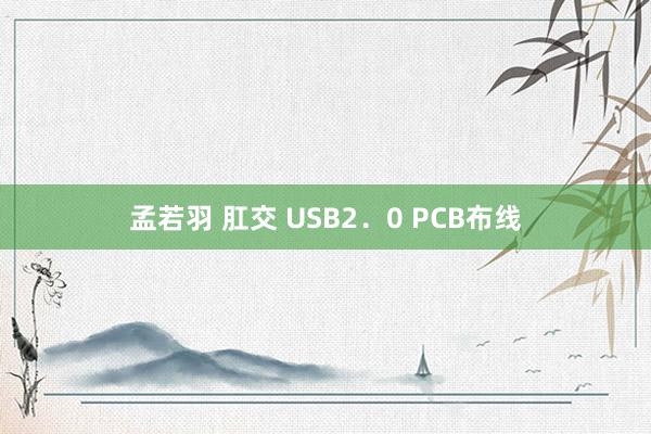 孟若羽 肛交 USB2．0 PCB布线