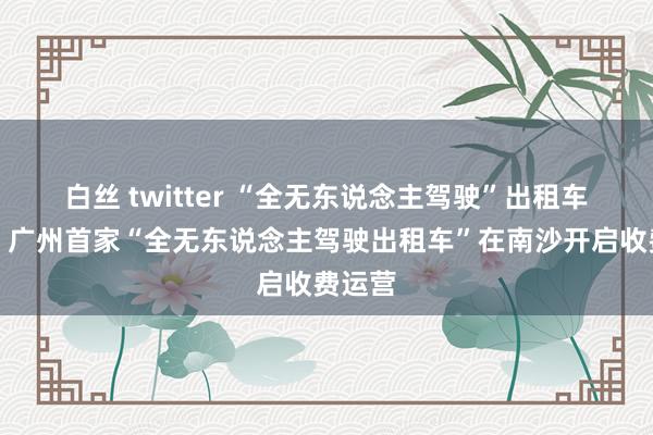 白丝 twitter “全无东说念主驾驶”出租车来了！广州首家“全无东说念主驾驶出租车”在南沙开启收费运营