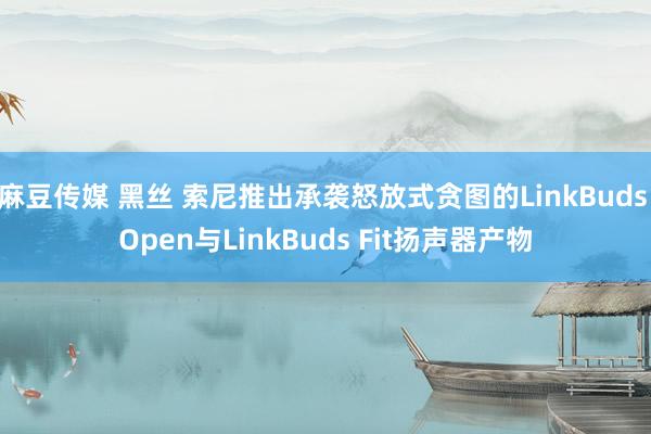 麻豆传媒 黑丝 索尼推出承袭怒放式贪图的LinkBuds Open与LinkBuds Fit扬声器产物