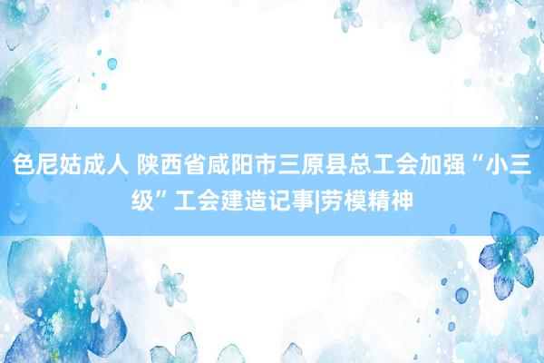 色尼姑成人 陕西省咸阳市三原县总工会加强“小三级”工会建造记事|劳模精神