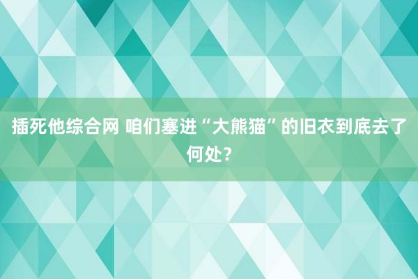 插死他综合网 咱们塞进“大熊猫”的旧衣到底去了何处？