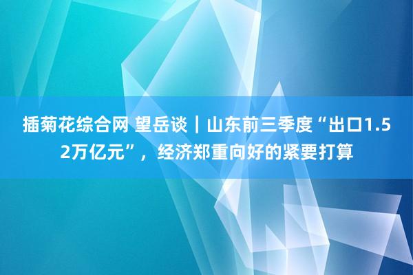 插菊花综合网 望岳谈｜山东前三季度“出口1.52万亿元”，经济郑重向好的紧要打算