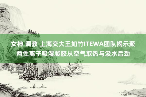 女神 调教 上海交大王如竹ITEWA团队揭示聚两性离子吸湿凝胶从空气取热与汲水后劲