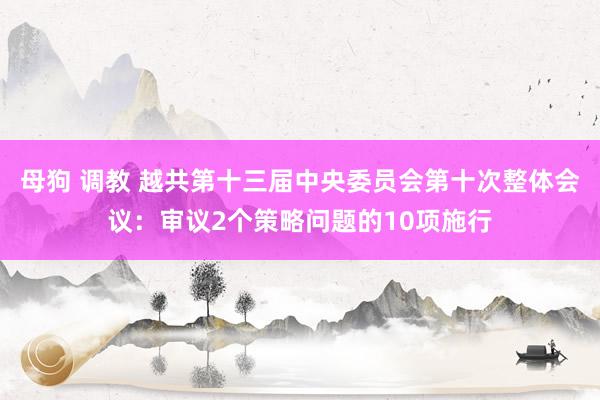 母狗 调教 越共第十三届中央委员会第十次整体会议：审议2个策略问题的10项施行