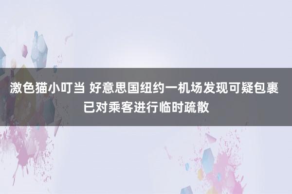 激色猫小叮当 好意思国纽约一机场发现可疑包裹 已对乘客进行临时疏散